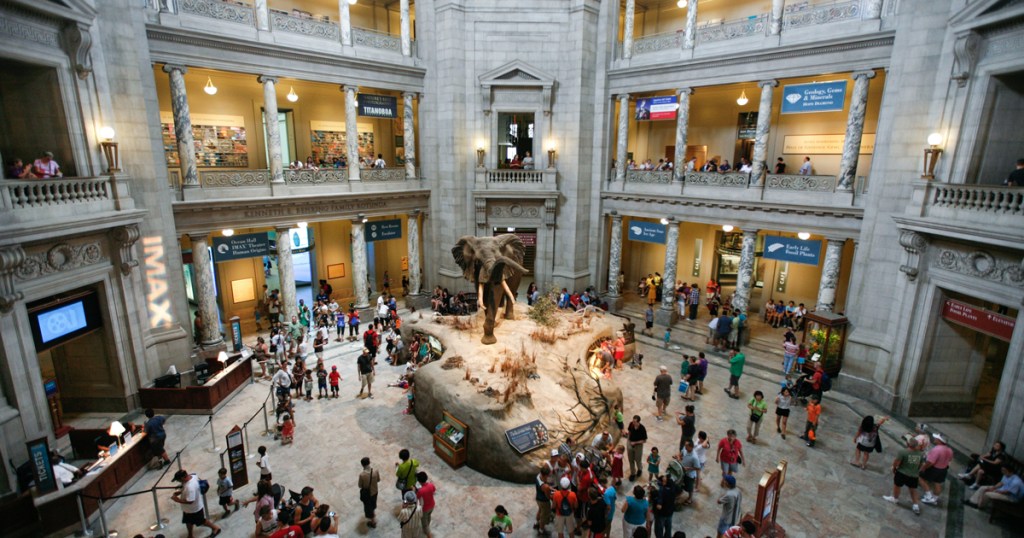 These 8 museums offer virtual visits (and fulfill a merit badge requirement!)
