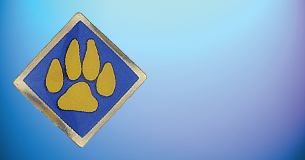 BSA recalls Cub Scout Outdoor Activity pins sold between April 2016 and January 2020